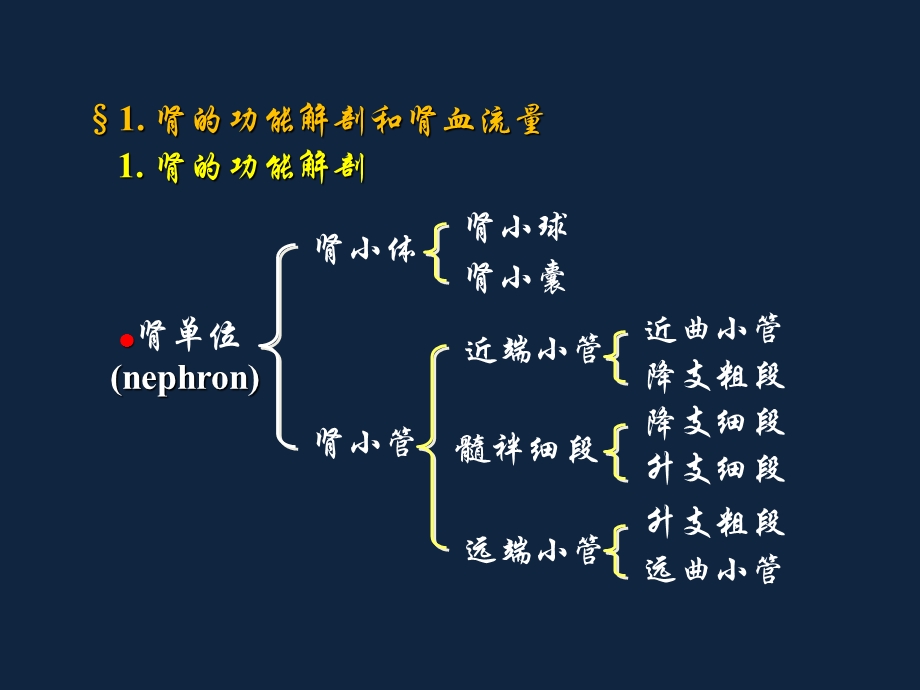 《复旦生理学》PPT课件.ppt_第3页