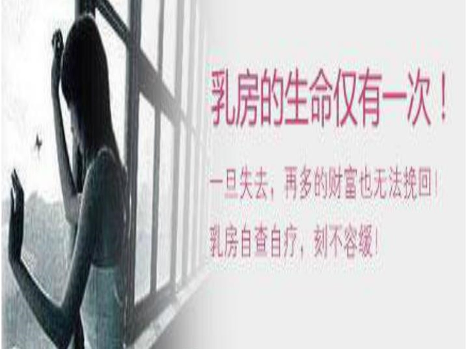 《小讲课乳腺癌》PPT课件.ppt_第1页