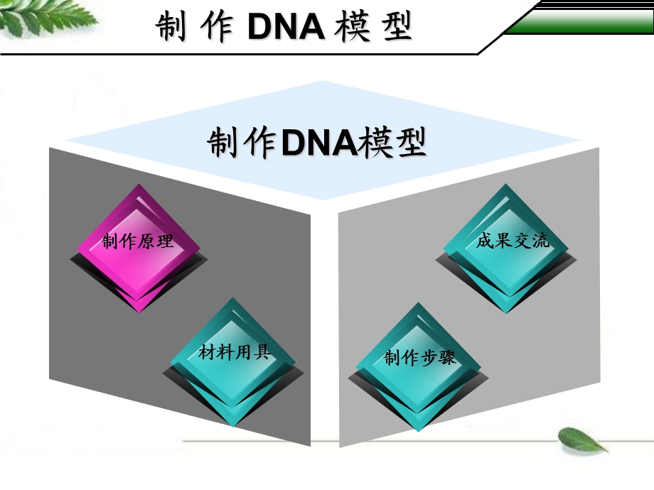 《制作DNA模型》PPT课件.ppt_第2页