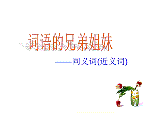 《同义词近义词》PPT课件.ppt