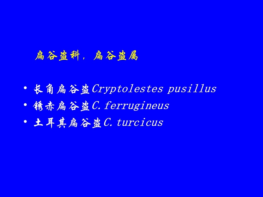 《常见仓储害虫》PPT课件.ppt_第2页