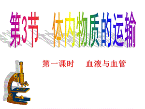 《代谢与平衡》PPT课件.ppt