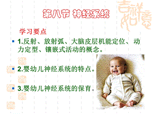 《婴幼儿神经系统》PPT课件.ppt