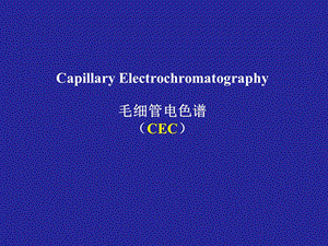 《毛细管电色谱》PPT课件.ppt