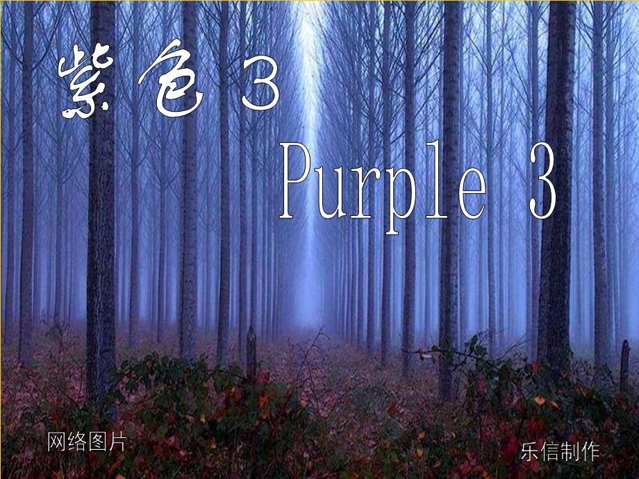 《紫色精彩摄影》PPT课件.ppt_第1页