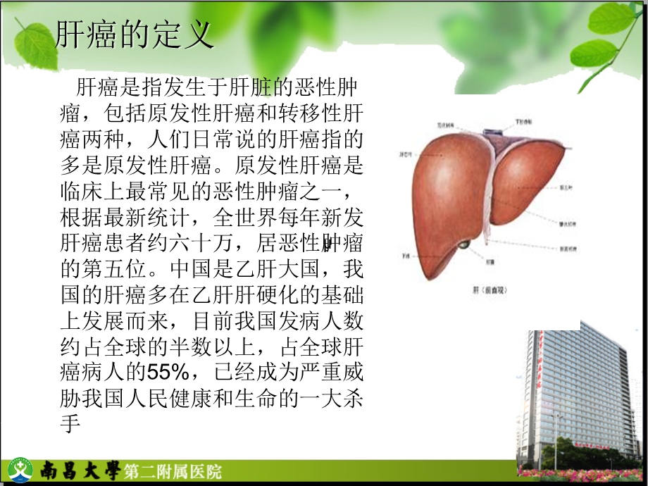 《肝癌的护理查房》PPT课件.ppt_第3页