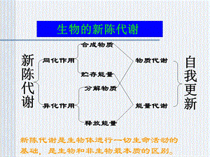 《生物的新陈代谢》PPT课件.ppt