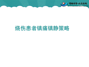 《烧伤镇痛策略》PPT课件.ppt