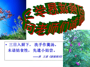 《素质作文浅讲》PPT课件.ppt