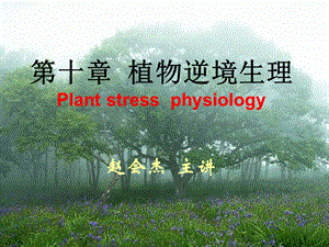 《植物逆境生理》PPT课件.ppt