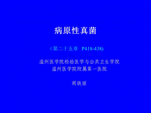 《病原性真菌》PPT课件.ppt