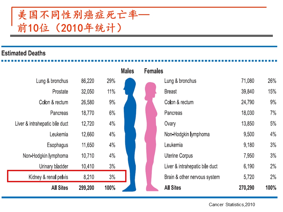 《肾癌内科治疗》PPT课件.ppt_第3页