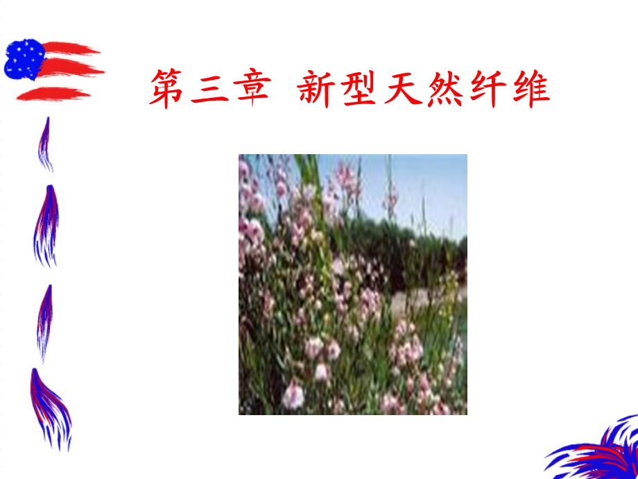 《新型天然纤维》PPT课件.ppt_第1页