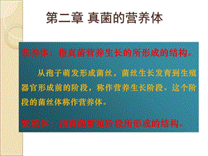 《真菌的营养体》PPT课件.ppt