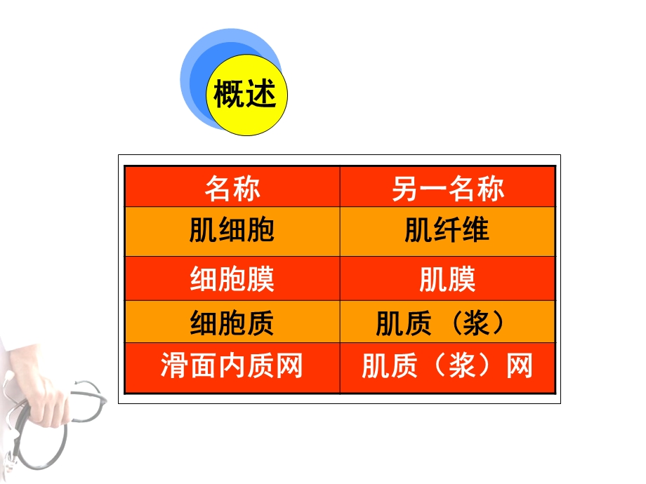 《护理肌组织》PPT课件.ppt_第2页