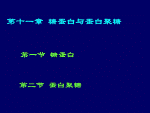 《糖蛋白与蛋白聚糖》PPT课件.ppt