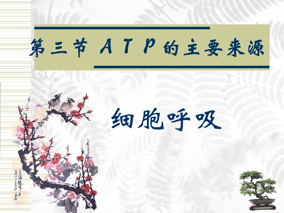 细胞呼吸　课件.ppt_第1页