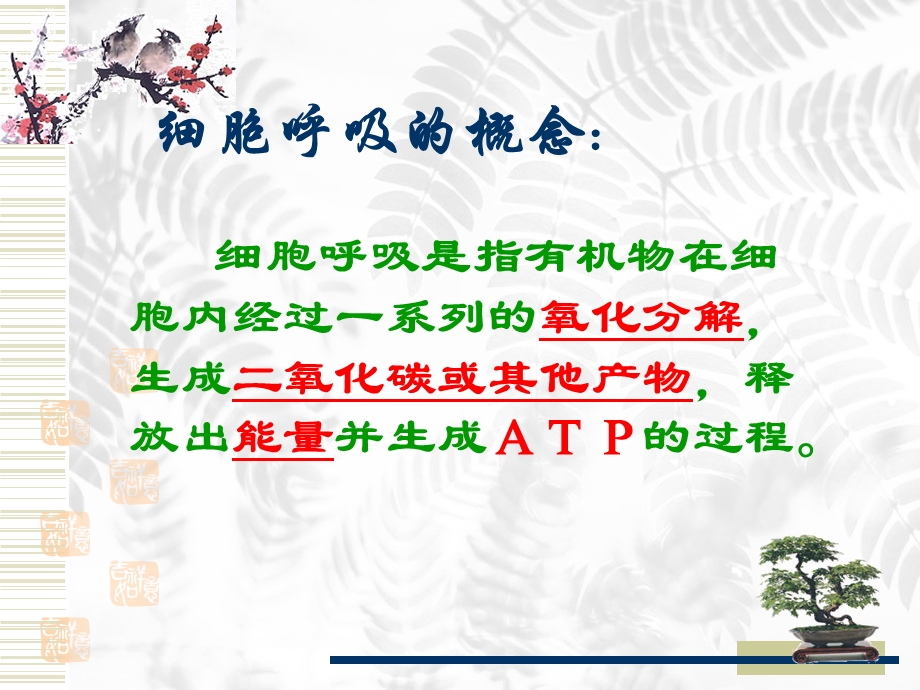 细胞呼吸　课件.ppt_第2页