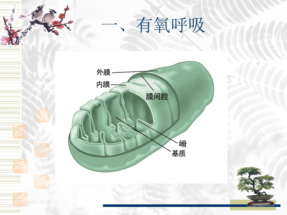 细胞呼吸　课件.ppt_第3页