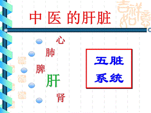 《中医的肝脏》PPT课件.ppt