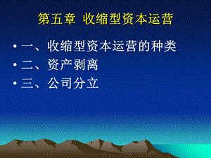 《收缩型资本运营》PPT课件.ppt