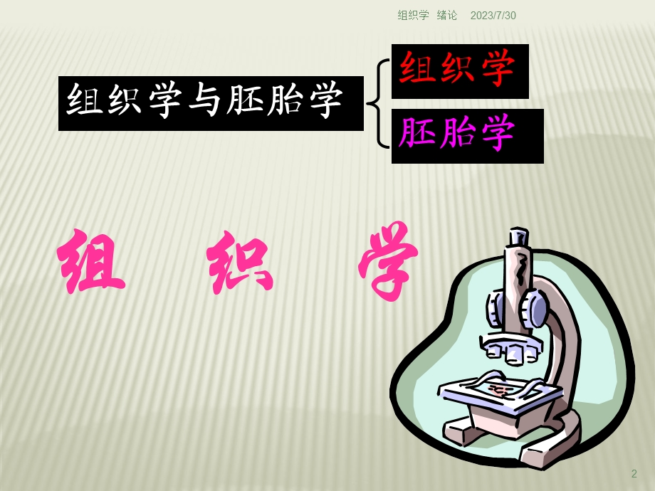 组织胚胎学绪论.ppt_第2页