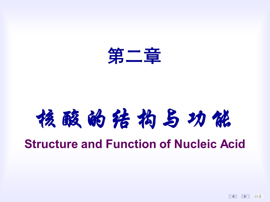 《核酸的结构与功能》PPT课件.ppt_第1页