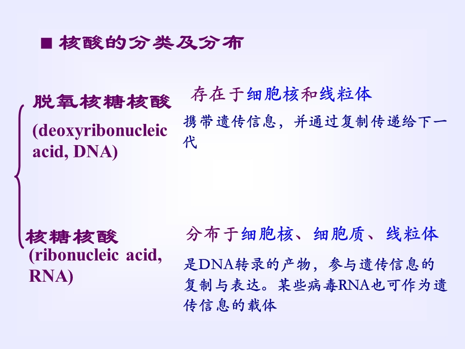 《核酸的结构与功能》PPT课件.ppt_第3页