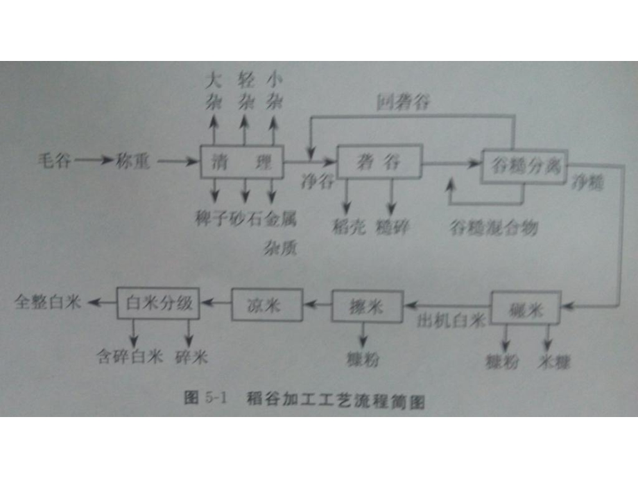 《稻谷加工》PPT课件.ppt_第2页