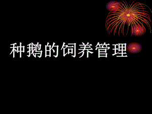 《养鹅技术知道大全》PPT课件.ppt