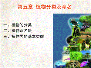 《植物分类》PPT课件.ppt