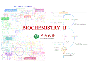 ch6糖异生和糖原代谢.ppt