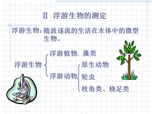 《浮游生物的测定》PPT课件.ppt