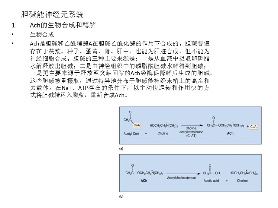 《脑的化学构筑》PPT课件.ppt_第2页