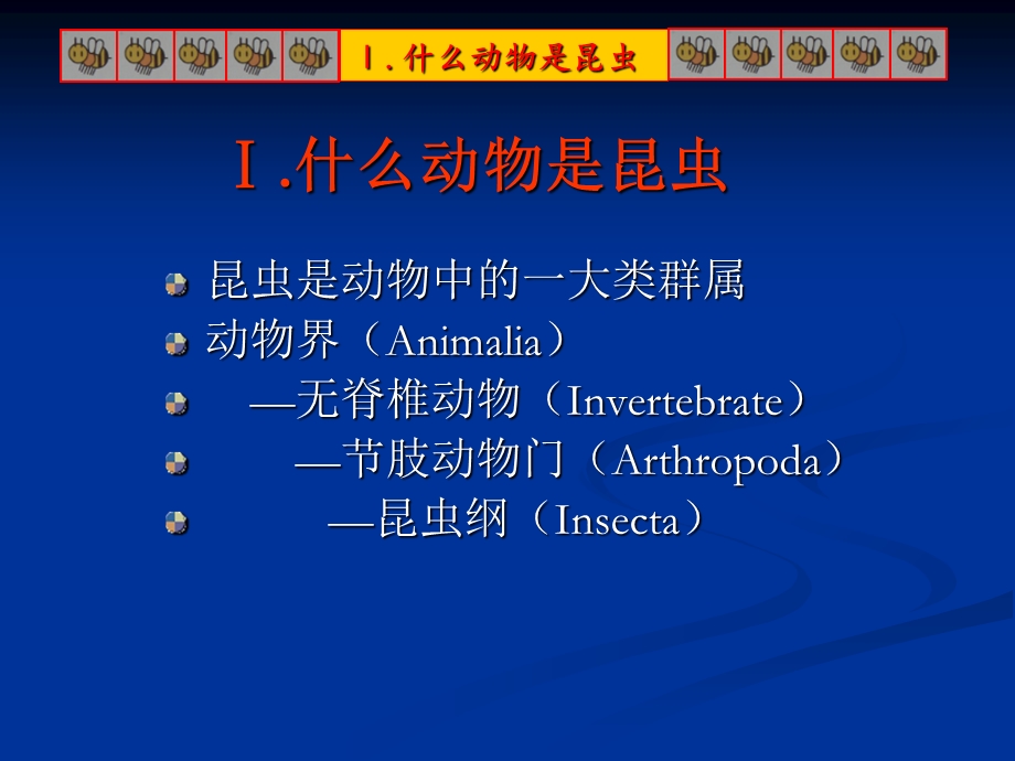 《昆虫研究方法》PPT课件.ppt_第3页