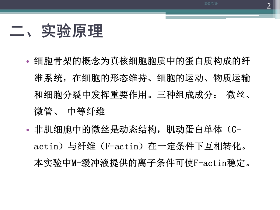 实验8考马斯亮蓝染色显示细胞骨架.ppt_第2页