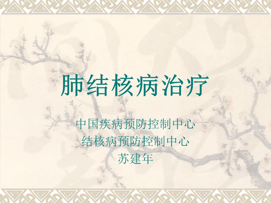 《肺结核病治疗》PPT课件.ppt_第1页