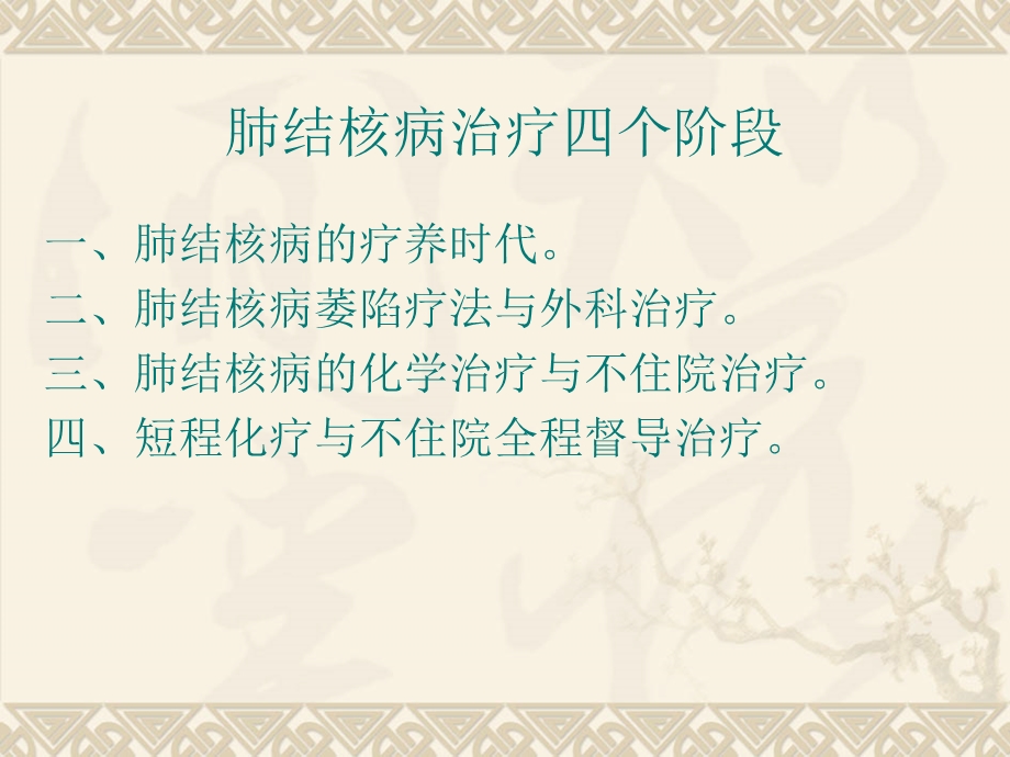 《肺结核病治疗》PPT课件.ppt_第2页