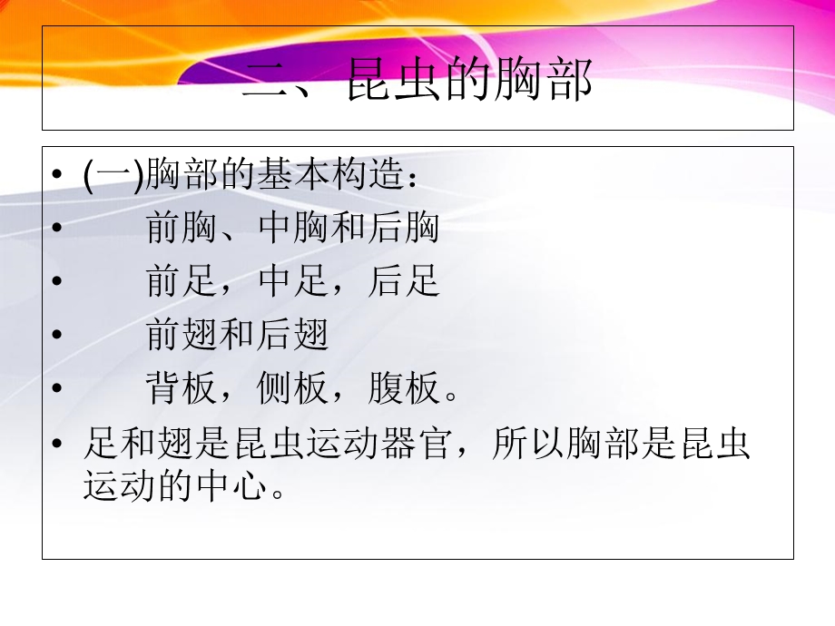 《昆虫的胸部》PPT课件.ppt_第1页