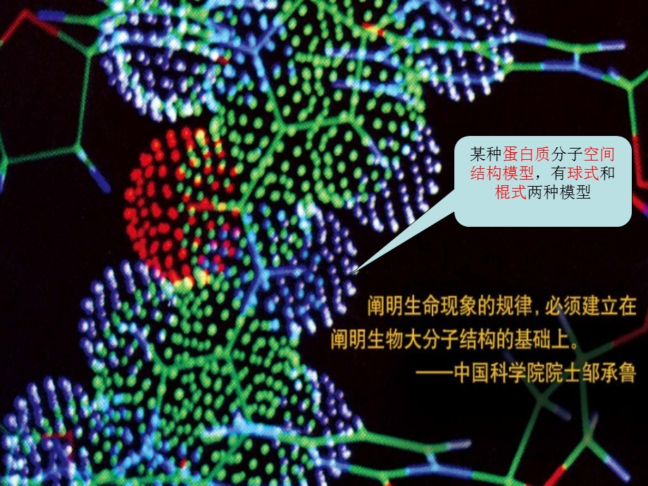 组成细胞的分子2.ppt_第2页