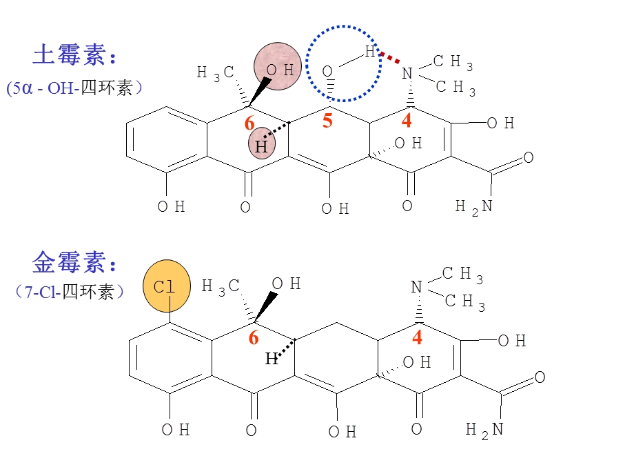 《环素类抗生素》PPT课件.ppt_第3页