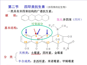 《环素类抗生素》PPT课件.ppt