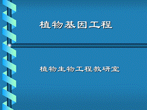 《植物基因工程》PPT课件.ppt