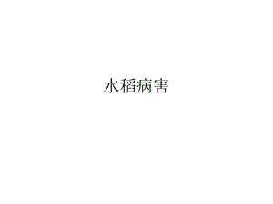 《水稻病虫害》PPT课件.ppt