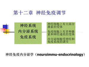 《神经免疫调节》PPT课件.ppt