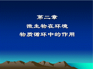 《环境工程微生物》PPT课件.ppt