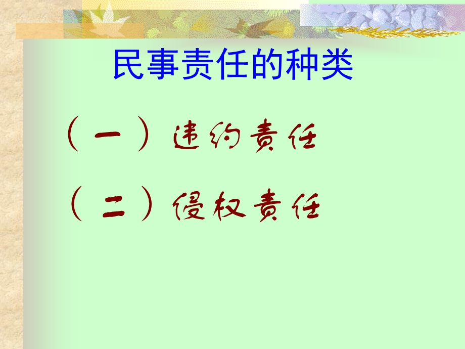 《民法电子教案》PPT课件.ppt_第3页