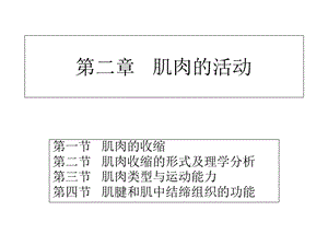 《肌肉的活动》PPT课件.ppt