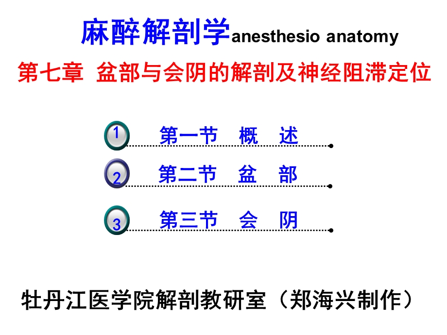 《盆部及会阴》PPT课件.ppt_第1页