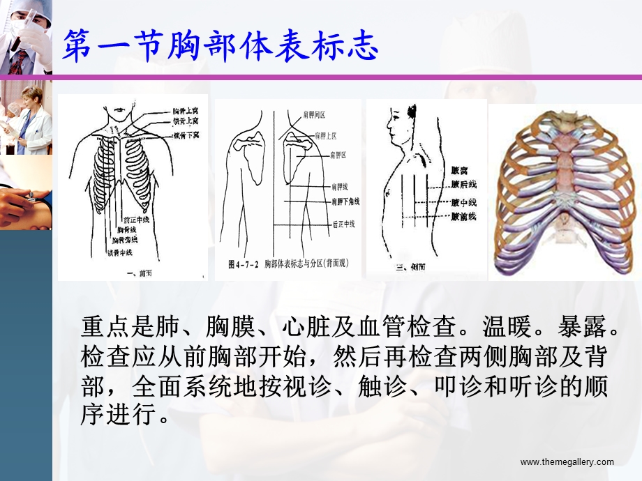 胸廓.肺部视、触诊.ppt_第2页